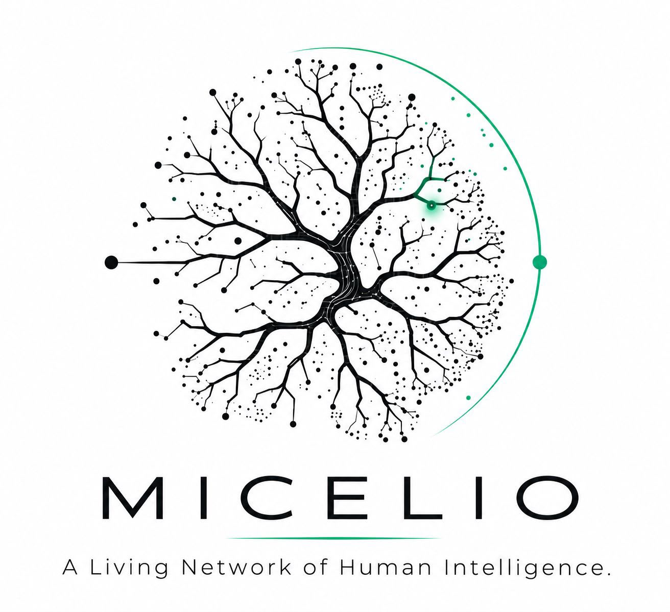 MICELIO — A Living Network of Human Intelligence.